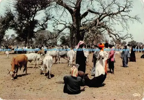 D119074 Couleurs D Afrique. Das Hirtentreffen. Iris. ADP. 1986