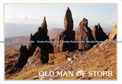 D119082 Old Man of Storr. Eine Gruppe tertiärer Basaltzinnen auf der Ostseite