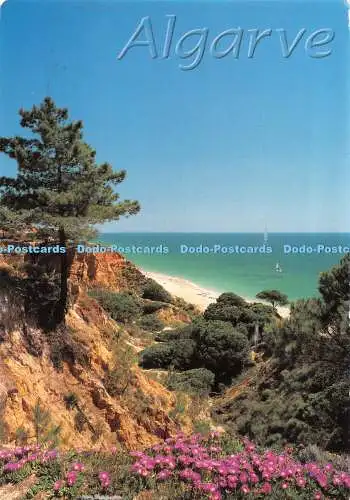 D117883 Algarve. Praia da Falesia. Michael Howard. 2005