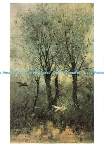 D119435 Nationalgalerie. Enten steigen auf einem Pool aus. Karten-Nr. 1484. Willem Maris