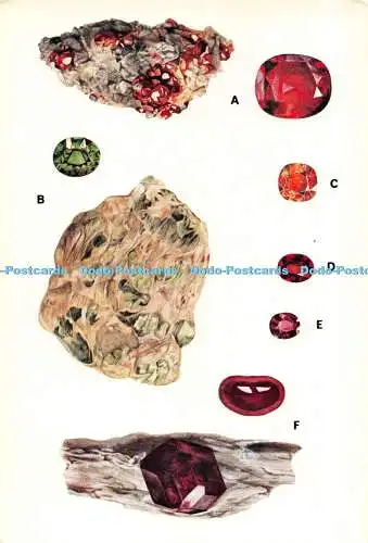 D119438 British Museum. Granate kubisch. Hessonit. Demantoid. Pyrop. Spessartin