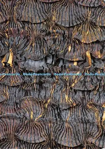 D119506 Fantasy Stoff. Vivien Prideaux. National Textile Collection. St. Ives P