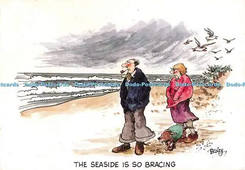 D119659 The Seaside is so Bracing. John Hinde. J. Arthur Dixon. Rupert Besley