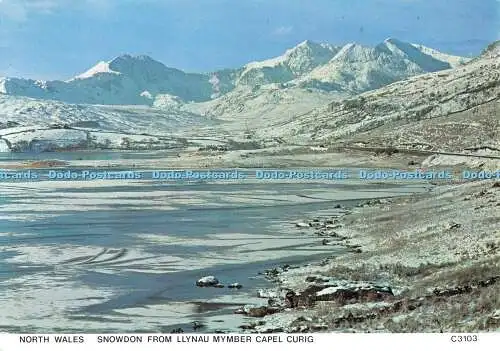 D119801 Nordwales. Snowdon von Llynau Mymber Capel Curig. Richter. C. 3103