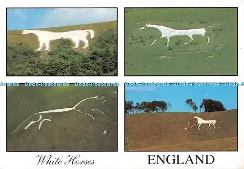 D116249 England. Weiße Pferde. Westbury White Horse. Pitkin Unichrome. Multi Vie