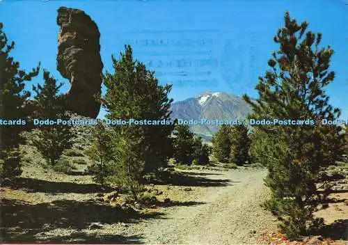 D156100 Teneriffa. Blick auf die Kanadas und den Teide. Garcia y Correa. Arribas