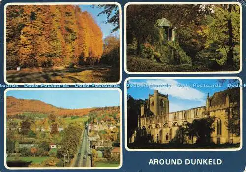 D156201 Around Dunkeld. Die Buchenhecke. J. Arthur Dixon. 1985. Multi View