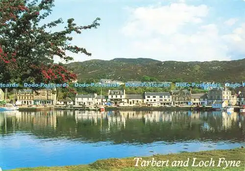 D156223 Tarbert und Loch Fyne. Whiteholme