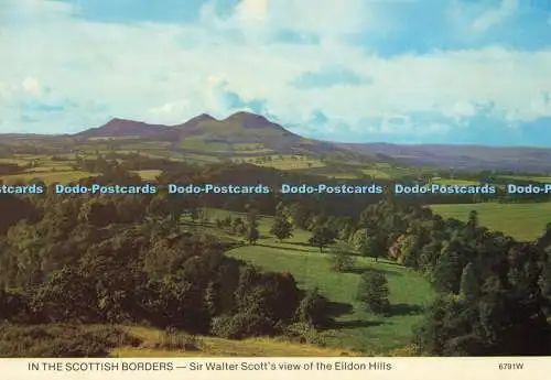 D156422 In The Scottish Borders. Sir Walter Scott Blick auf die Eildon Hills. Weiß