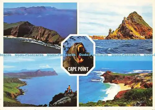 D157615 Cape Point. Südlichster Tio der Halbinsel. Arthur English Prints. Mu