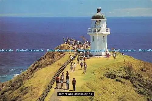 D157686 N. Z. Cape Reinga Leuchtturm. Bildpublikationen. Tiki Karte