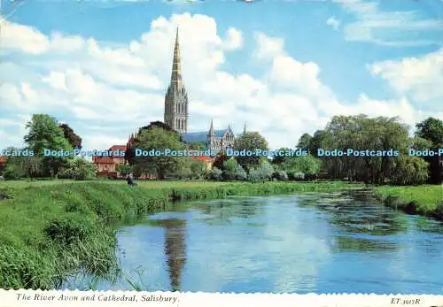 D159298 Salisbury. Der Fluss Avon und die Kathedrale. Valentinstag. Valuxe