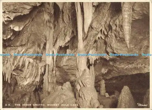 D159307 Holzlochhöhle. Die innere Grotte. J. Arthur Dixon