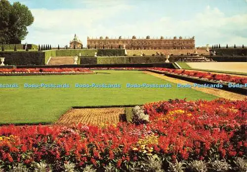 D159374 Versailles. Der Park. Blumenbeete von Latone. Lys