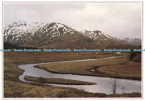 D156816 Tief im Herzen von Glen Affric. Whiteholme