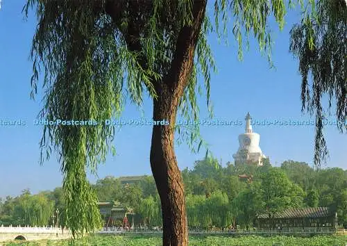 D159398 Die Dagoba im Beihai Park. China National Publications Import und Export