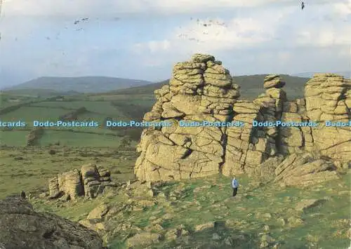 D156985 Devon. Hound Tor. Dartmoor Nationalpark. Richter. C. 8679. 1994