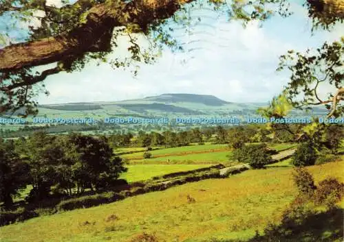 D159561 Yorkshire. Penhill von Leyburn Schal. Wensleydale. Walter Scott