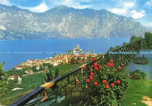 D158242 Lago di Garda. Gardasee. Vitove Editore. 1966