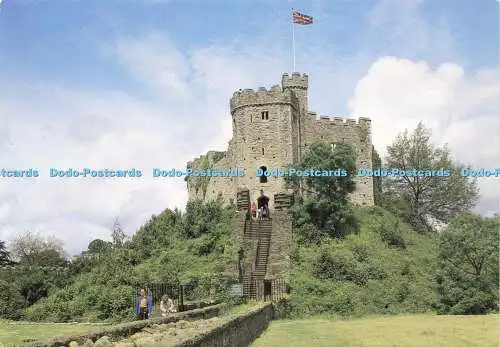 D158253 Cardiff Castle. The Keep. Richter. C. 7353. John Edwards