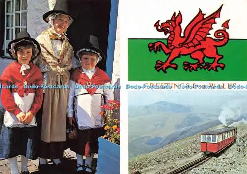 D158256 Grüße aus Wales. Nationaltracht. Richter. C. 5166. Multi View