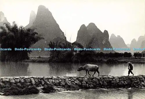 D157167 China. Kalksteinhügel. Kweilin. Planographisch. ACME Karten. Sally und Ric