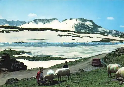 D157179 Norwegen. Der höchste Punkt der Sognefjellstraße. Normann