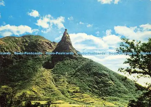 D159746 Pieter Both Mountain Mauritius. Fotocolor Co