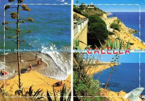 D159767 Calella. Costa del Maresme. Postales Internacional Farbe. P.I.C. Multi