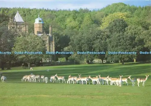 D158421 Cumbria. Der Hirschpark. Holker Hall and Gardens. Jarrold