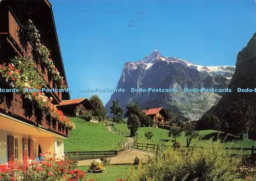 D158425 Grindelwald. Wetterhorn. Baumstumpf