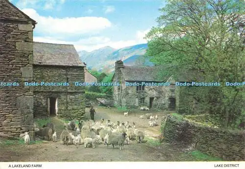D158496 Lake District. Eine Seenlandfarm. Fotopräzision. Colourmaster Internatio