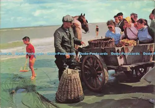 D159984 Retour du Pecheur de Crevettes. Ern. Thill. Ektachrome