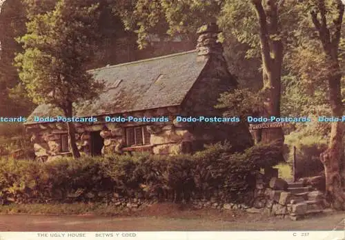 D160024 Betws y Coed. Das hässliche Haus. Richter. C. 237. 1965