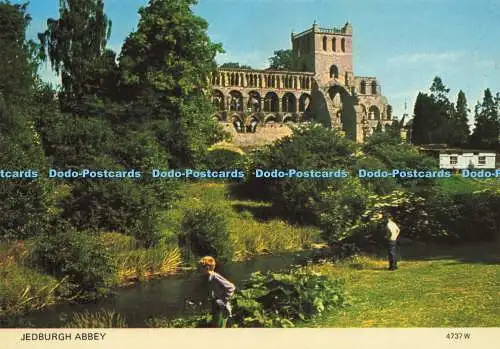 D158659 Jedburgh Abbey. Whiteholme. A Hail Caledonia Product