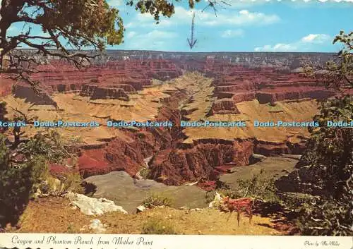 D158662 Canyon und Phantom Ranch von Mather Point. Karten unbegrenzt. Mac Miller.