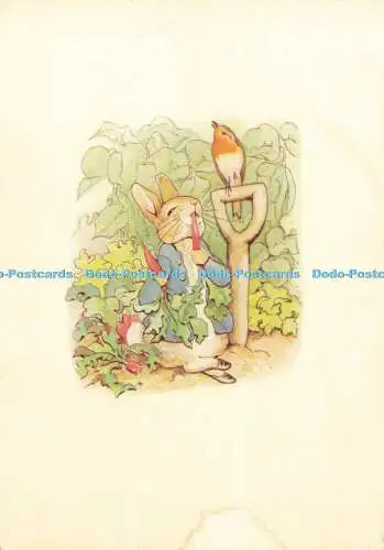 D161328 Original-Illustration von Beatrix Potter für die Geschichte von Peter Rabbit. Fr