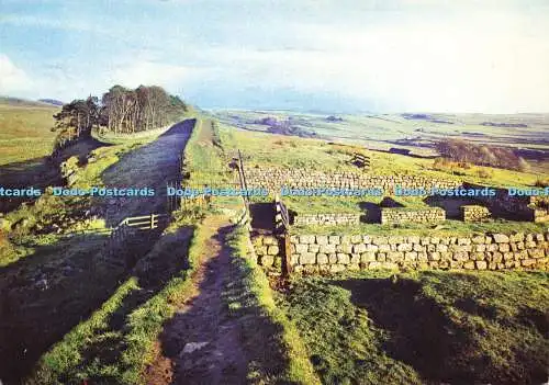 D158709 Römische Mauer bei Housesteads Mile Castle. J. Arthur Dixon. 1977