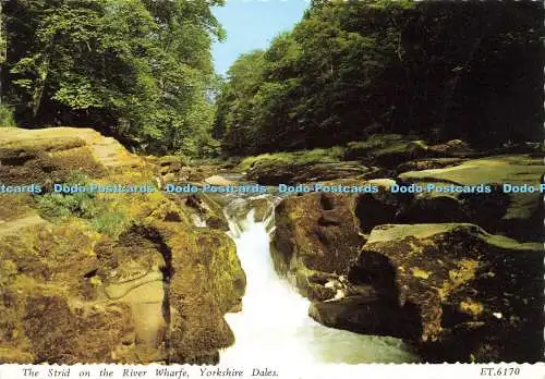 D158737 Yorkshire Dales. The Strid on the River Wharfe. Bamforth. 1985