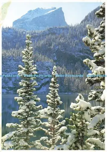 D161404 Rocky Mountain Nationalpark. Impact Colorado. David Muench. 1999