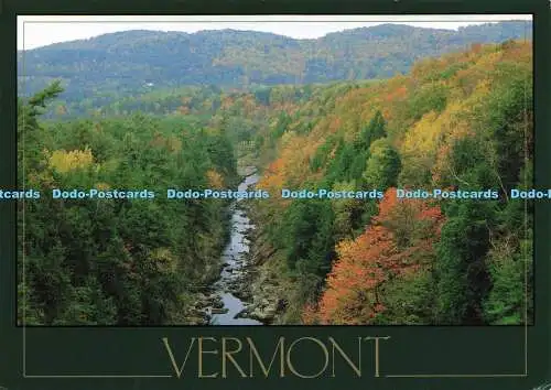 D163603 Vermont. Schlag. Jeff Gnass