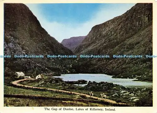 D160208 Irland. The Gap of Dunloe. Seen von Killarney. Killarney Printings Work