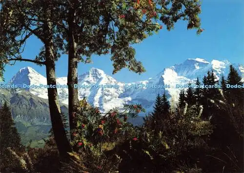 D163871 Paysage Alpestre. Eiger. Mönch. Deriaz Baulmes