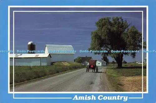 D163879 Amish Country. Gold Star. Dan Amerson