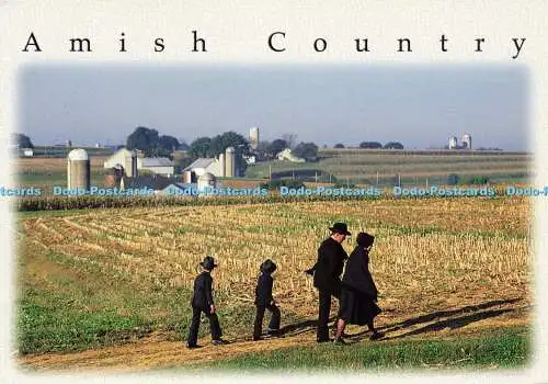 D163881 Amish Country. Gold Star. Jean Higgins. Einhorn Stockfotos