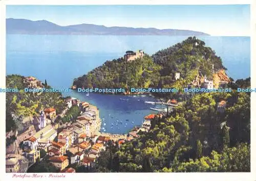 D165076 Portofino Stute. Penisola. Brunner