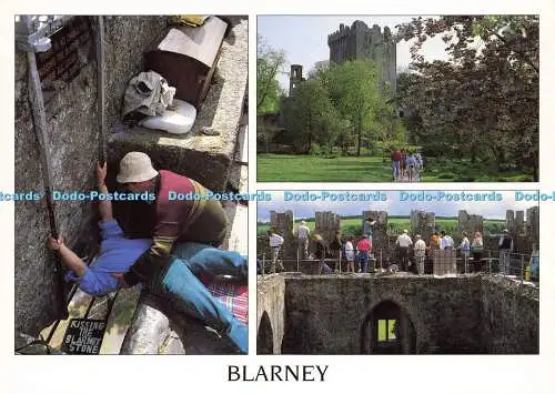 D159127 Blarney. Kissing the Blarney Stone. Real Ireland Design. Liam Blake. Mul