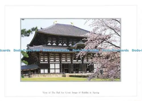 D165102 Ansicht der Halle für großes Bild von Buddha im Frühling. Nara. Schöne La