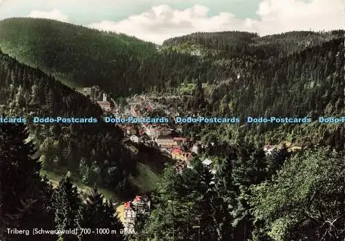 D161799 Triberg. Schwarzwald. A. Mauthe. Fotoprint