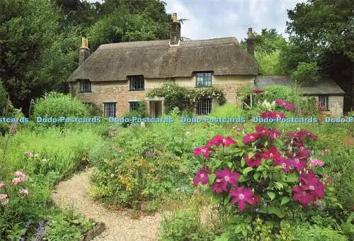 D163954 Dorset. Winterharter Geburtsort. Natural Trust Images. Andrew Butler